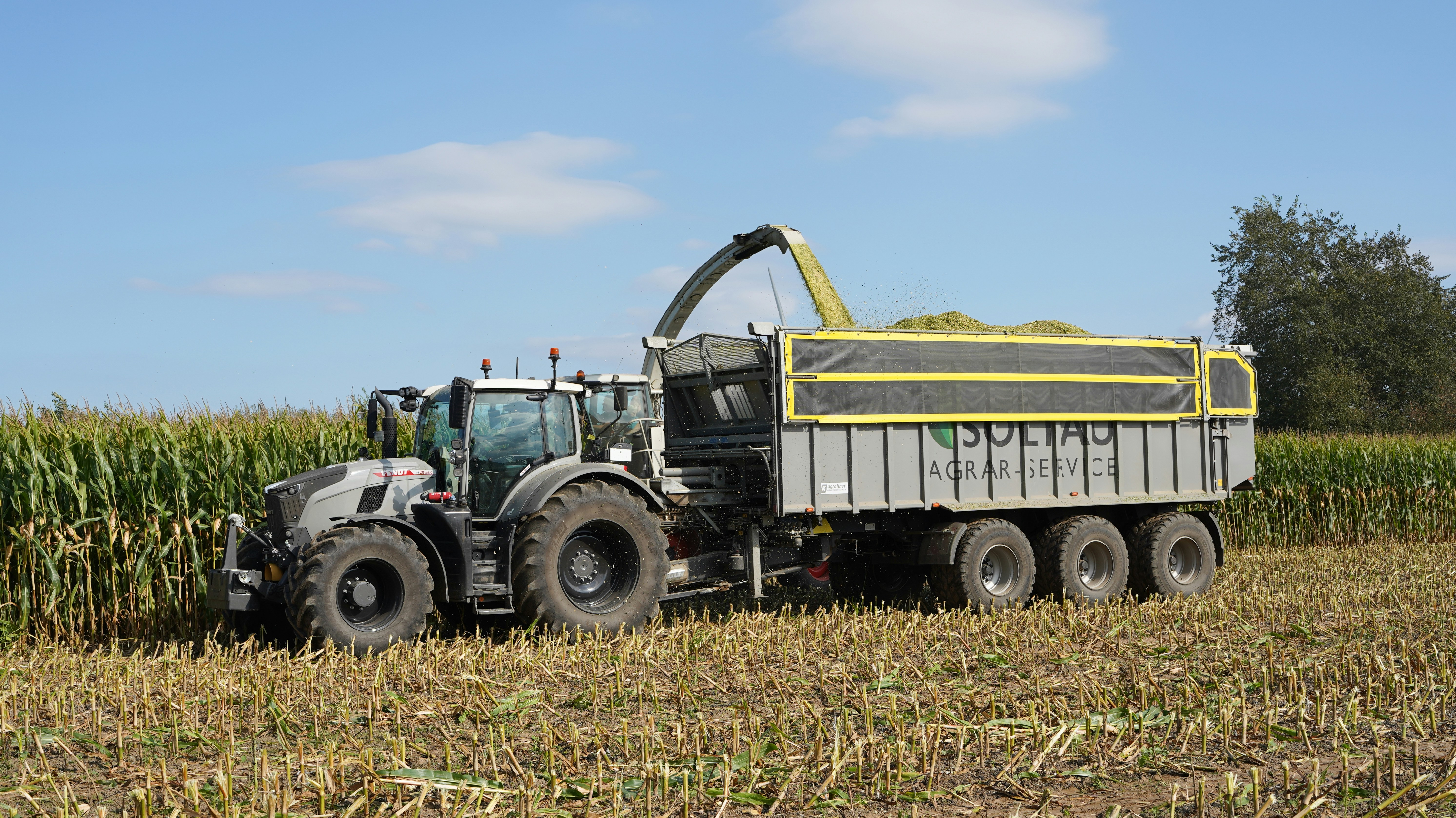 Agriculture and agribusiness — farmland, crops, harvest in West Africa